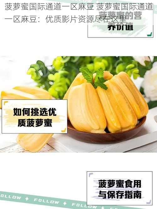 菠萝蜜国际通道一区麻豆 菠萝蜜国际通道一区麻豆:优质影片资源尽在这里