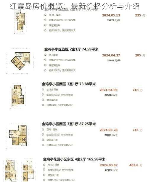 红霞岛房价概览:最新价格分析与介绍