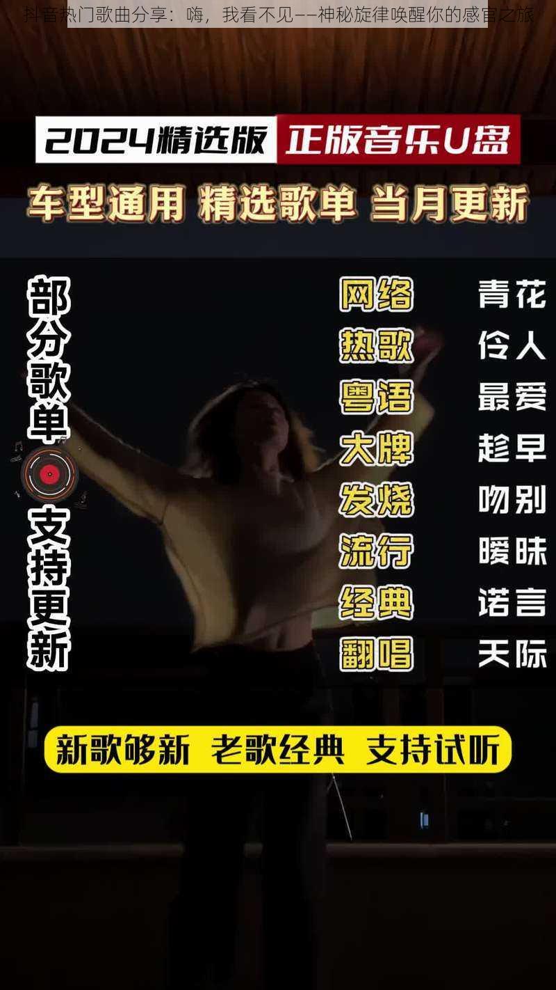 抖音热门歌曲分享:嗨,我看不见——神秘旋律唤醒你的感官之旅