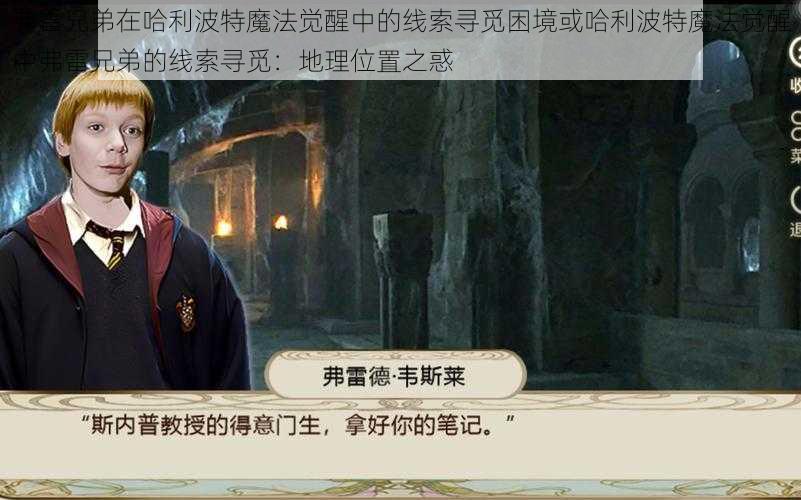 弗雷兄弟在哈利波特魔法觉醒中的线索寻觅困境或哈利波特魔法觉醒中弗雷兄弟的线索寻觅:地理位置之惑