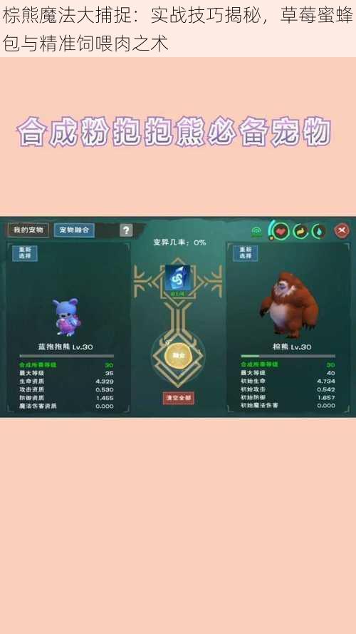 棕熊魔法大捕捉:实战技巧揭秘,草莓蜜蜂包与精准饲喂肉之术