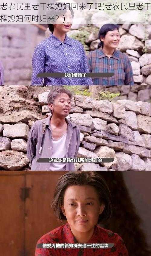 老农民里老干棒媳妇回来了吗(老农民里老干棒媳妇何时归来?)