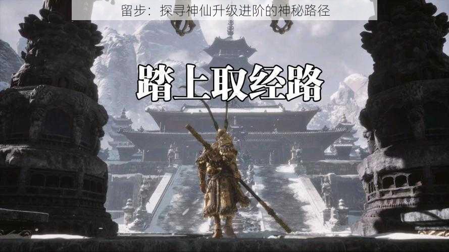 留步:探寻神仙升级进阶的神秘路径