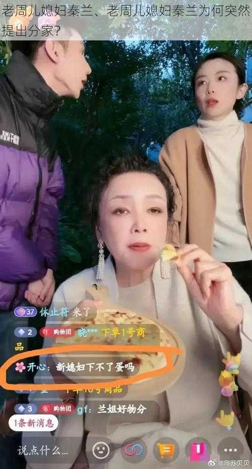 老周儿媳妇秦兰、老周儿媳妇秦兰为何突然提出分家?