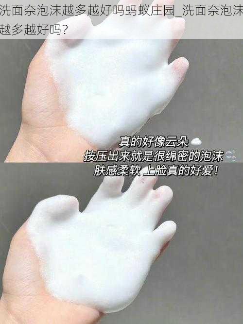 洗面奈泡沫越多越好吗蚂蚁庄园_洗面奈泡沫越多越好吗?