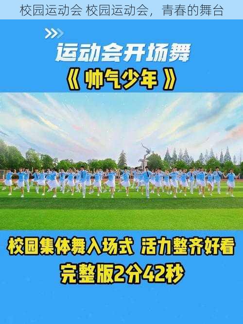 校园运动会 校园运动会,青春的舞台