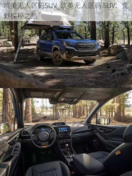 欧美无人区码SUV_欧美无人区码 SUV:荒野探秘之旅