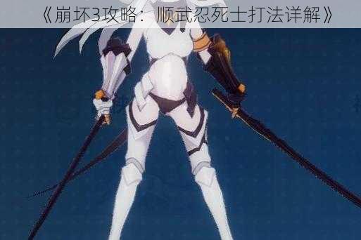 《崩坏3攻略:顺武忍死士打法详解》