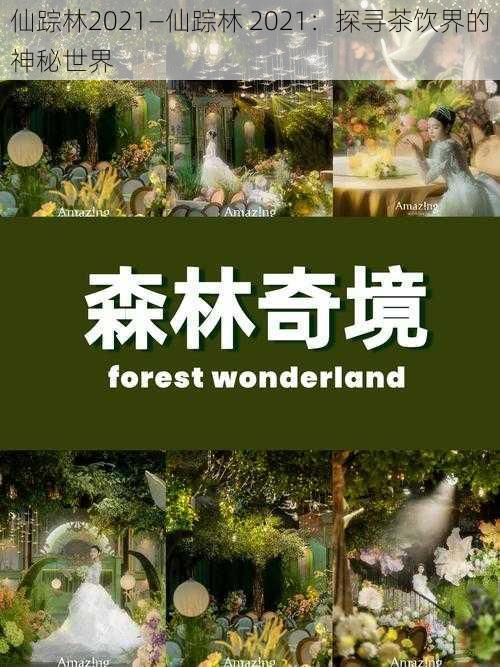 仙踪林2021—仙踪林 2021:探寻茶饮界的神秘世界