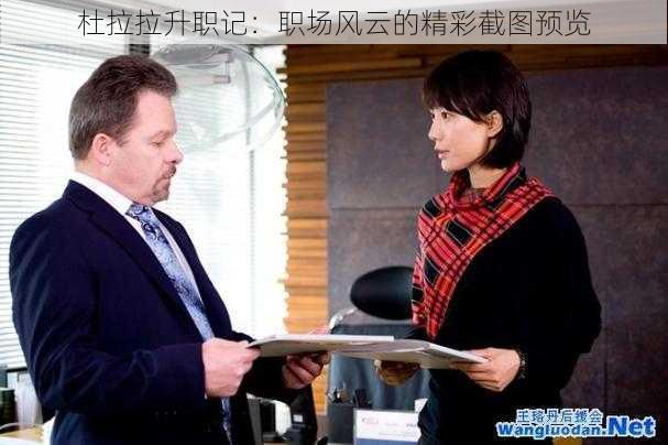 杜拉拉升职记:职场风云的精彩截图预览