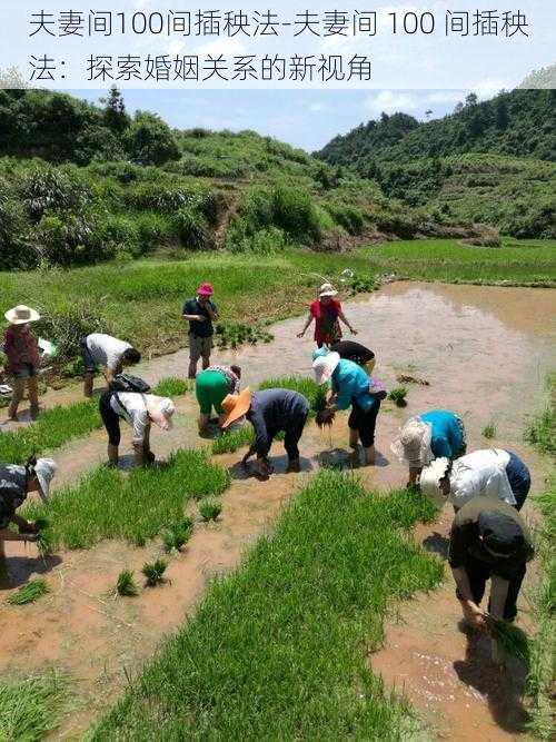 夫妻间100间插秧法-夫妻间 100 间插秧法:探索婚姻关系的新视角