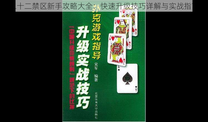 二十二禁区新手攻略大全:快速升级技巧详解与实战指南