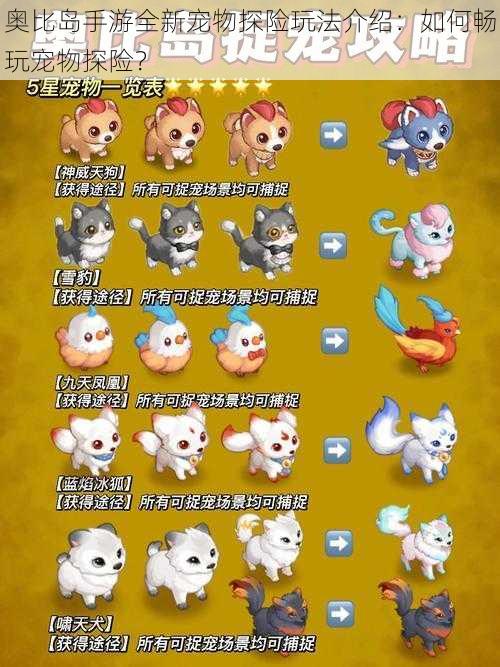 奥比岛手游全新宠物探险玩法介绍:如何畅玩宠物探险?