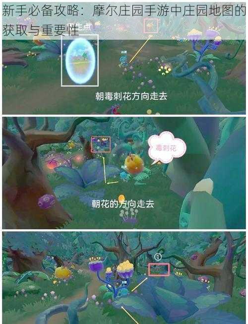 新手必备攻略:摩尔庄园手游中庄园地图的获取与重要性