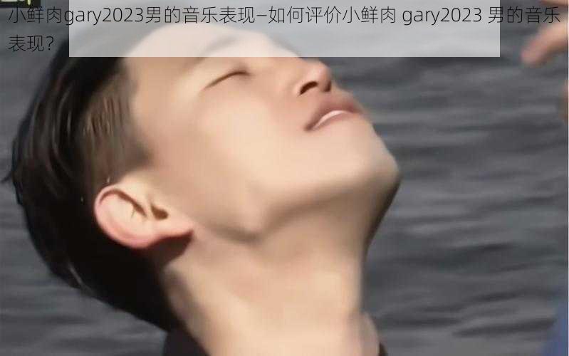 小鲜肉gary2023男的音乐表现—如何评价小鲜肉 gary2023 男的音乐表现?