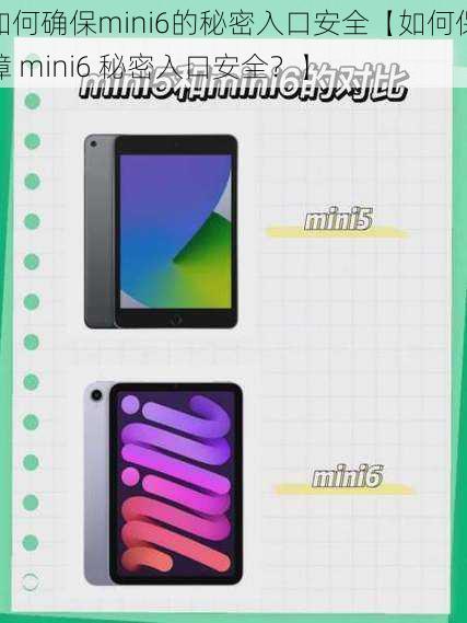 如何确保mini6的秘密入口安全【如何保障 mini6 秘密入口安全?】