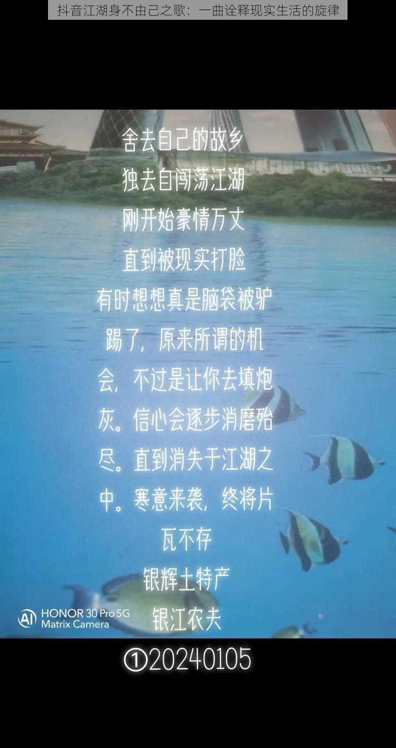 抖音江湖身不由己之歌:一曲诠释现实生活的旋律