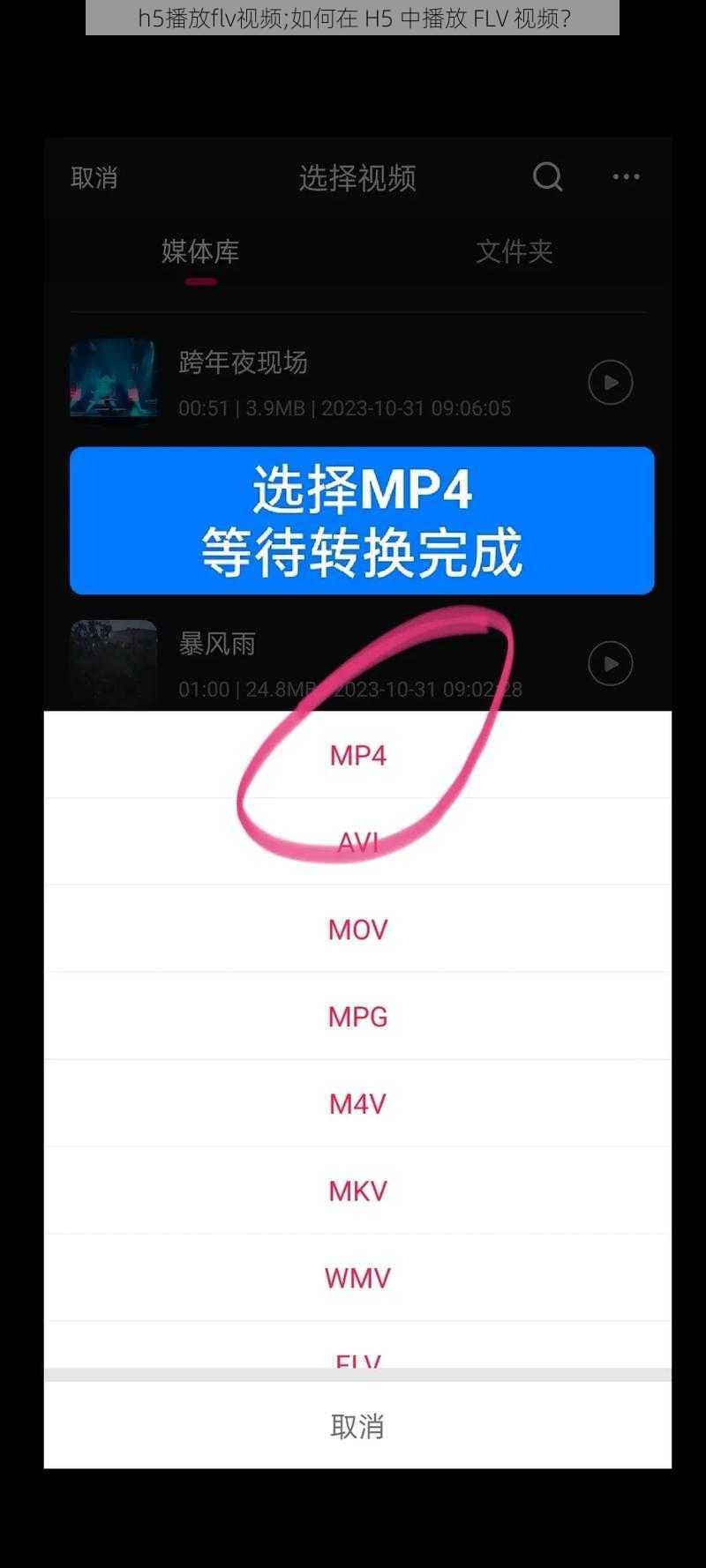 h5播放flv视频;如何在 H5 中播放 FLV 视频?
