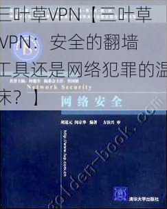 三叶草VPN【三叶草 VPN:安全的翻墙工具还是网络犯罪的温床?】