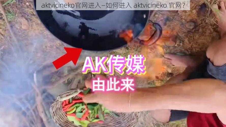 aktvicineko官网进入—如何进入 aktvicineko 官网?