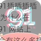 91插插插插 为什么在 91 网站上会有这么多插插插插的内容?