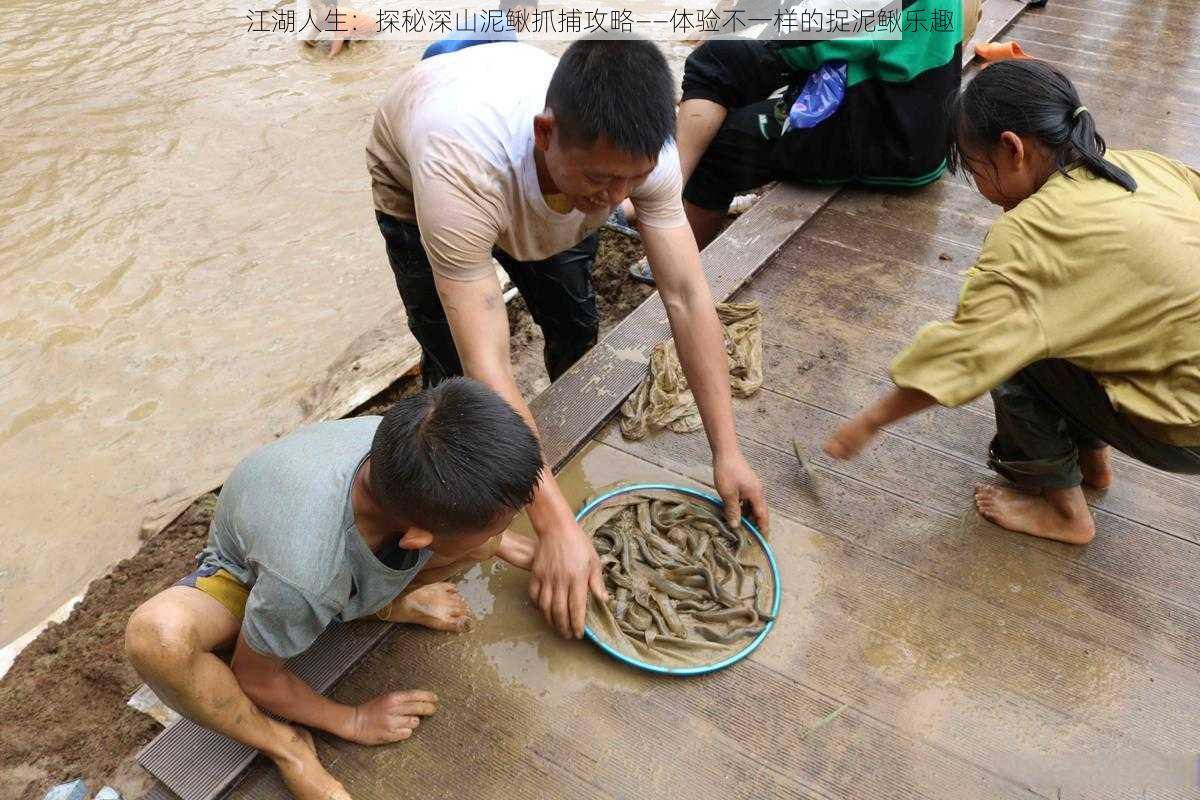 江湖人生:探秘深山泥鳅抓捕攻略——体验不一样的捉泥鳅乐趣