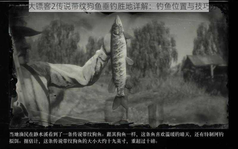 荒野大镖客2传说带纹狗鱼垂钓胜地详解:钓鱼位置与技巧分享