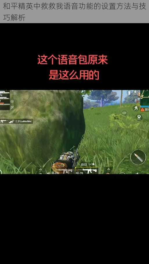 和平精英中救救我语音功能的设置方法与技巧解析