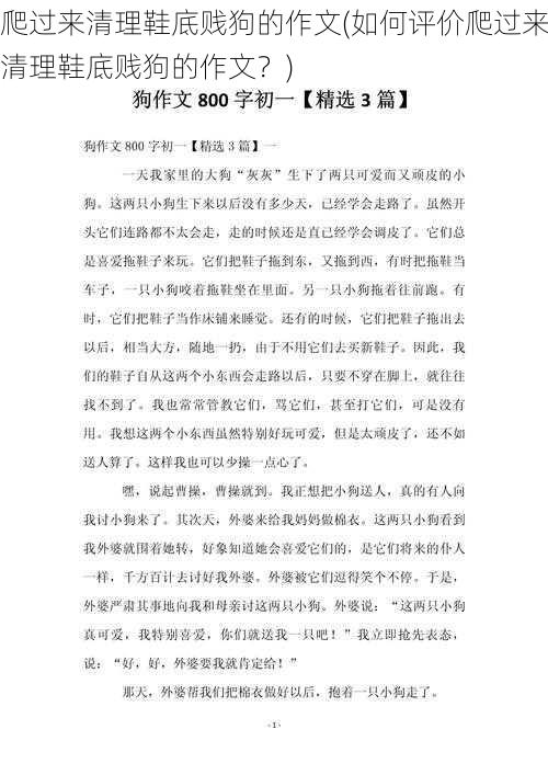 爬过来清理鞋底贱狗的作文(如何评价爬过来清理鞋底贱狗的作文?)