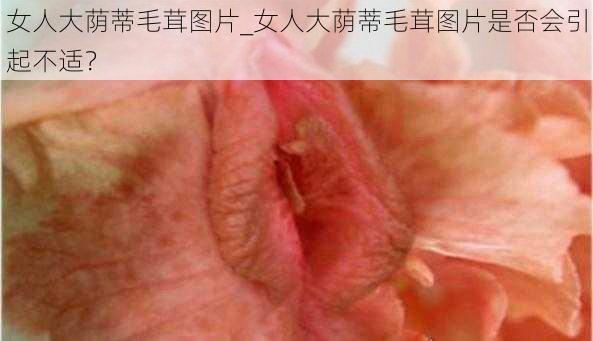 女人大荫蒂毛茸图片_女人大荫蒂毛茸图片是否会引起不适?