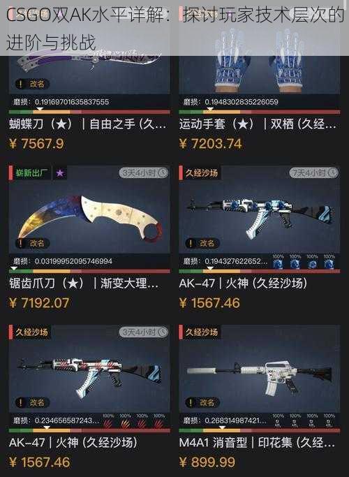 CSGO双AK水平详解:探讨玩家技术层次的进阶与挑战