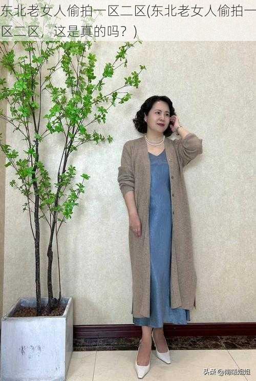 东北老女人偷拍一区二区(东北老女人偷拍一区二区,这是真的吗?)