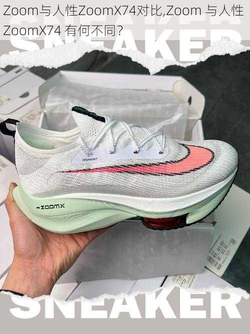 Zoom与人性ZoomX74对比,Zoom 与人性 ZoomX74 有何不同?