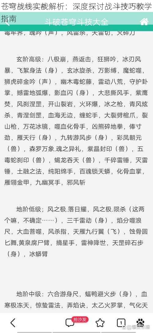 苍穹战线实战解析:深度探讨战斗技巧教学指南