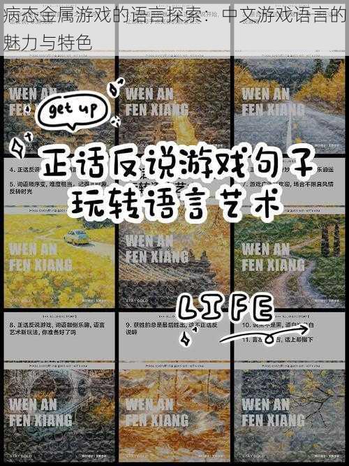 病态金属游戏的语言探索:中文游戏语言的魅力与特色