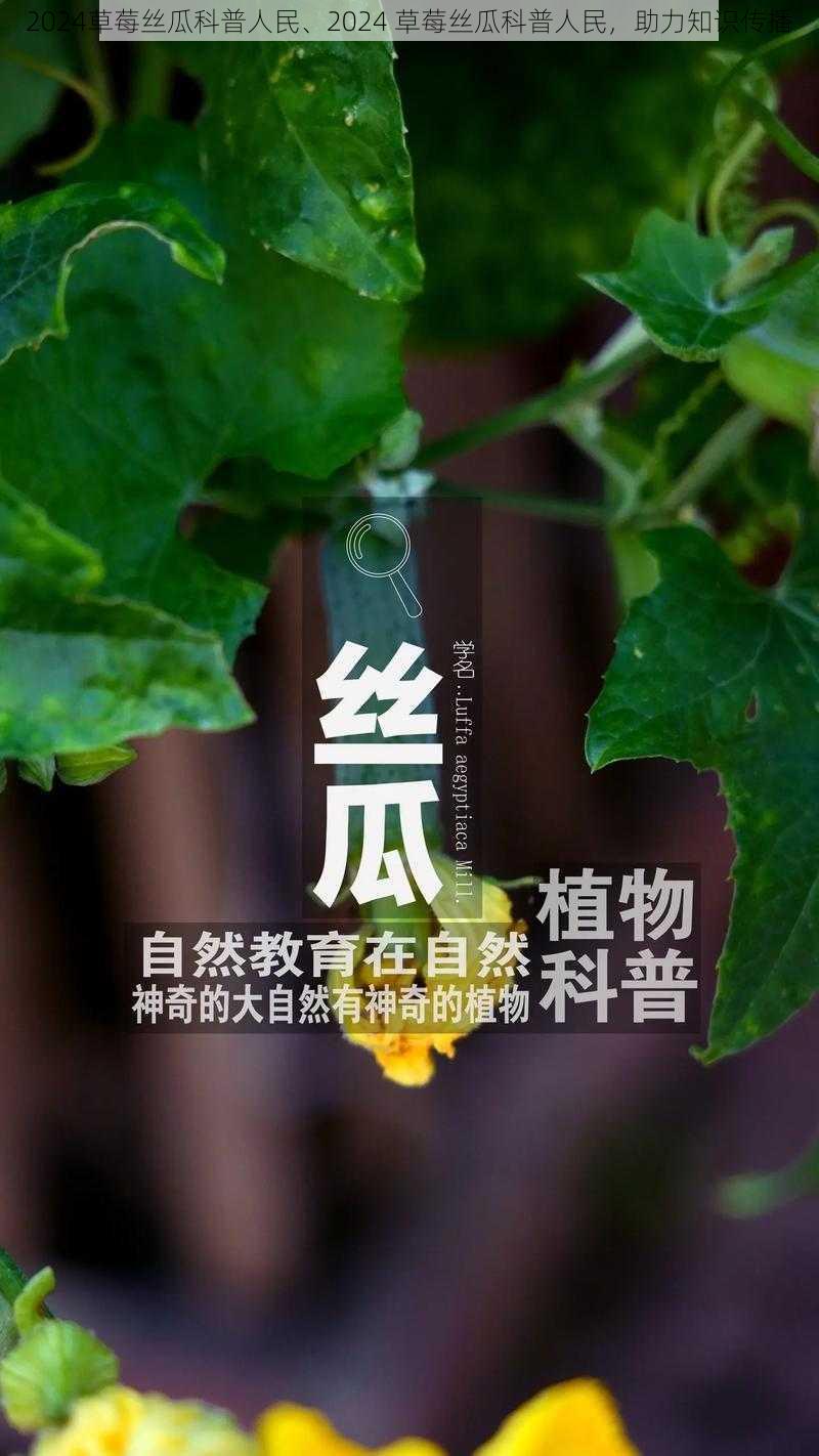 2024草莓丝瓜科普人民、2024 草莓丝瓜科普人民,助力知识传播