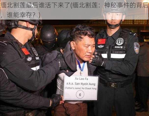 缅北割莲最后谁活下来了(缅北割莲:神秘事件的背后,谁能幸存?)