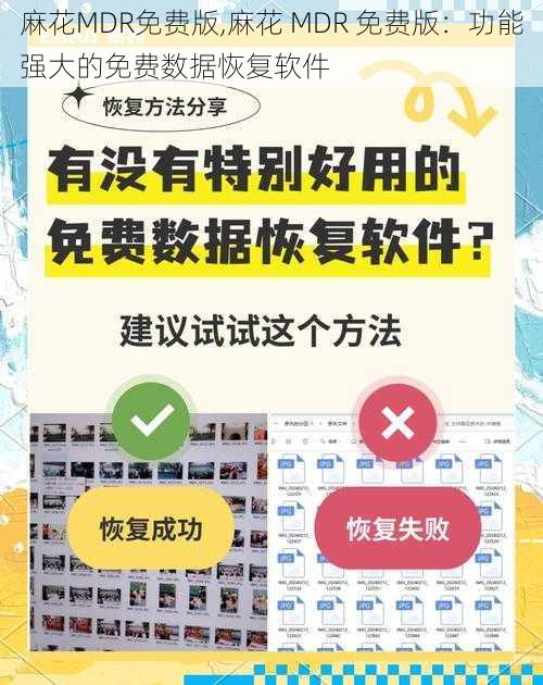 麻花MDR免费版,麻花 MDR 免费版:功能强大的免费数据恢复软件