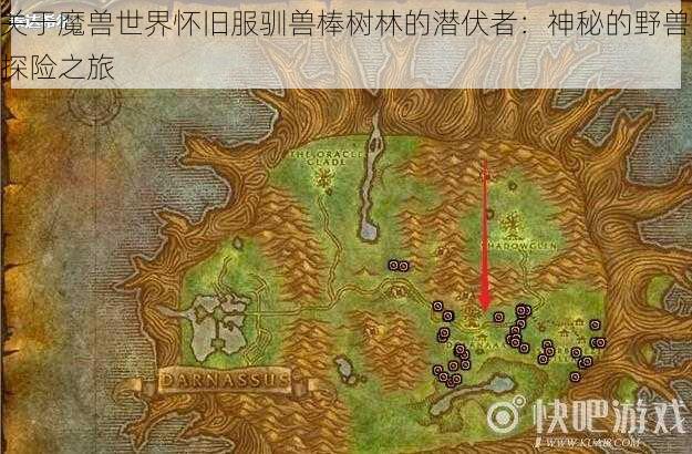 关于魔兽世界怀旧服驯兽棒树林的潜伏者:神秘的野兽探险之旅