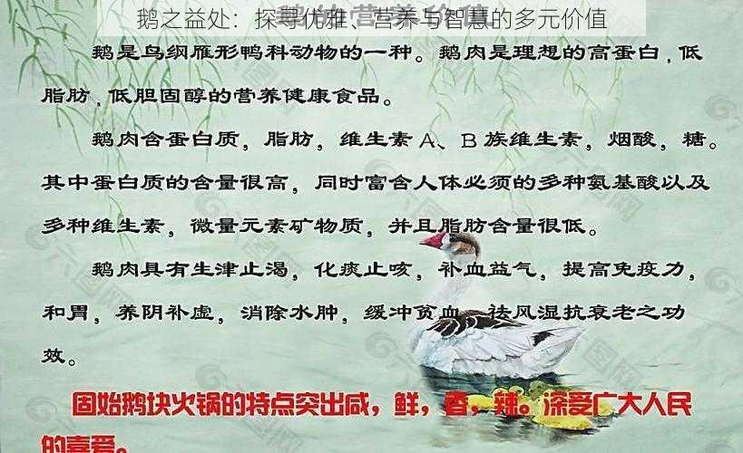 鹅之益处:探寻优雅、营养与智慧的多元价值