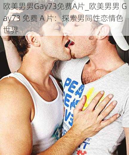 欧美男男Gay73免费A片_欧美男男 Gay73 免费 A 片:探索男同性恋情色世界