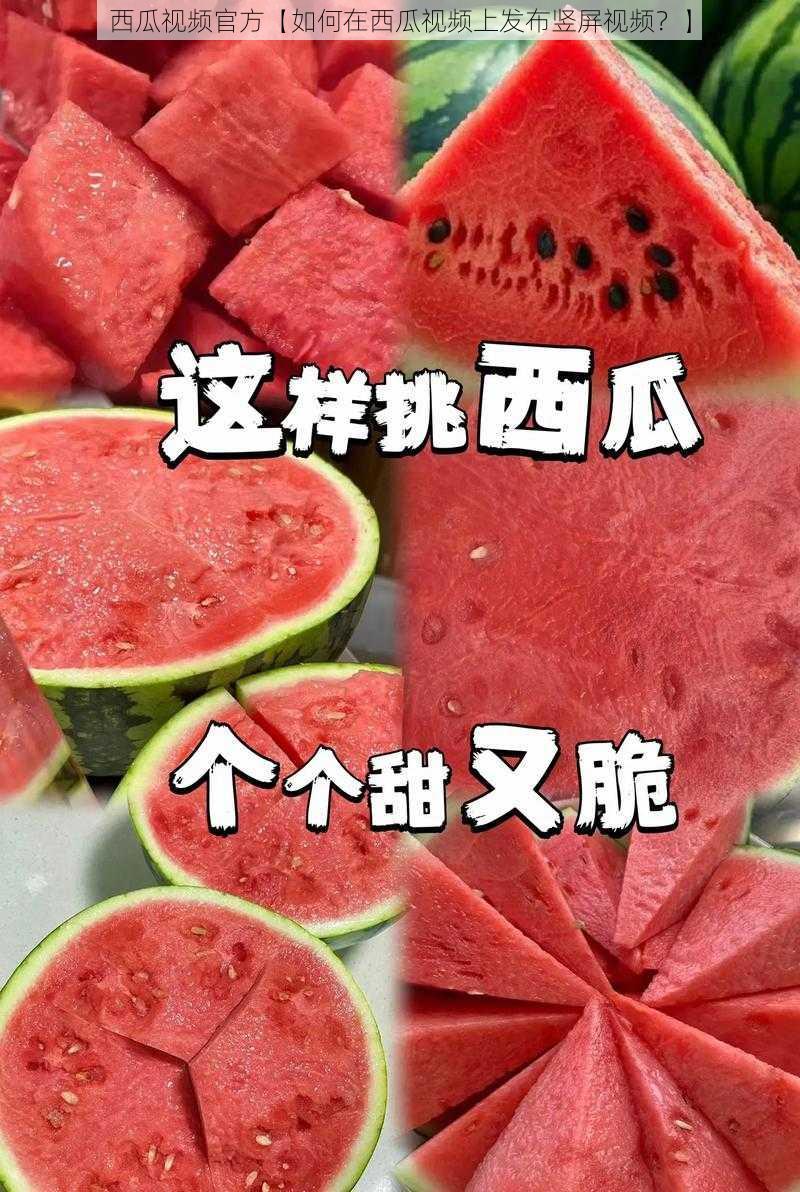 西瓜视频官方【如何在西瓜视频上发布竖屏视频?】