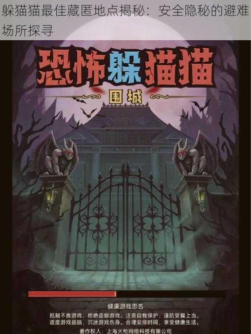 躲猫猫最佳藏匿地点揭秘:安全隐秘的避难场所探寻