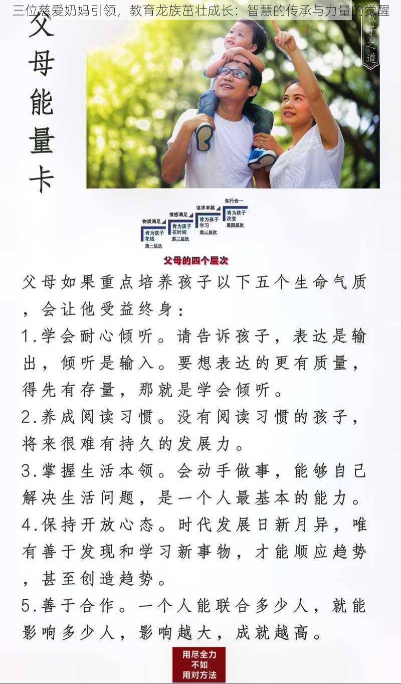 三位慈爱奶妈引领,教育龙族茁壮成长:智慧的传承与力量的觉醒