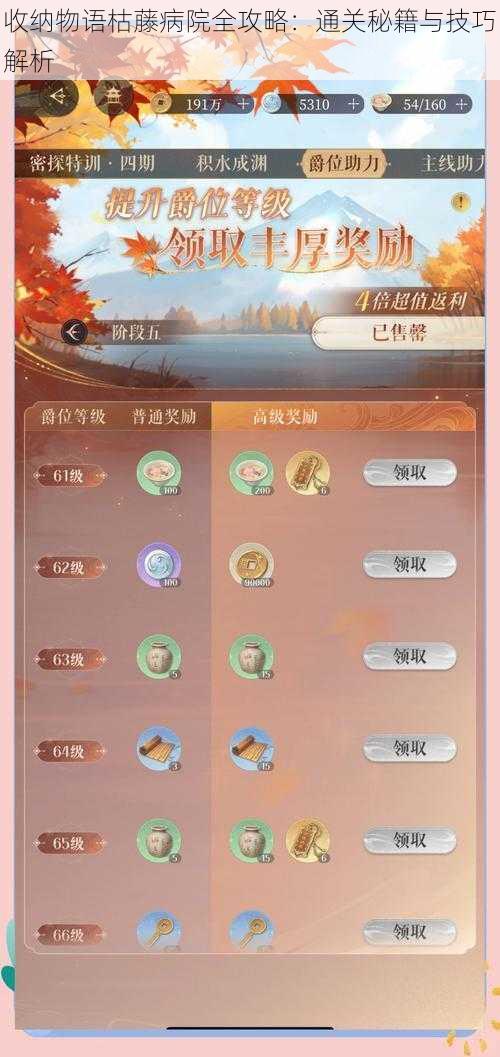 收纳物语枯藤病院全攻略:通关秘籍与技巧解析