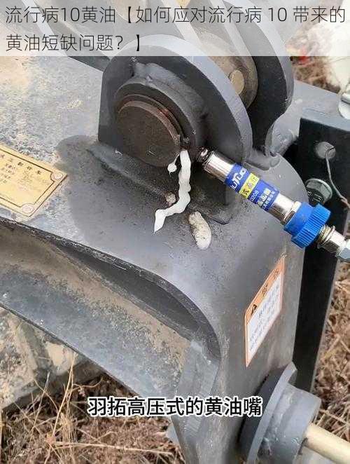 流行病10黄油【如何应对流行病 10 带来的黄油短缺问题?】