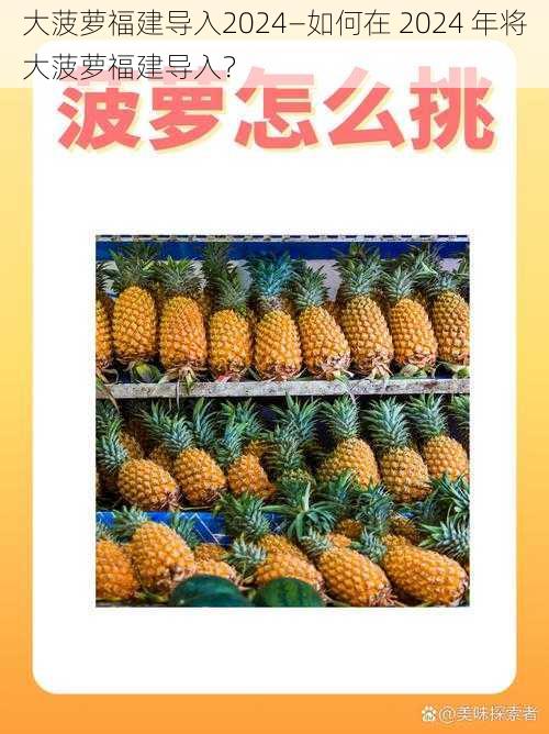 大菠萝福建导入2024—如何在 2024 年将大菠萝福建导入?