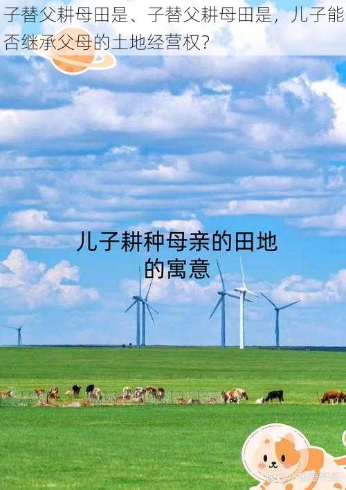 子替父耕母田是、子替父耕母田是,儿子能否继承父母的土地经营权?