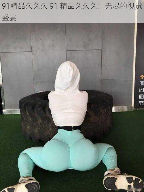 91精品久久久 91 精品久久久:无尽的视觉盛宴