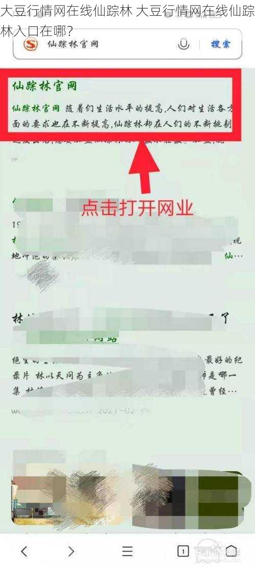 大豆行情网在线仙踪林 大豆行情网在线仙踪林入口在哪?